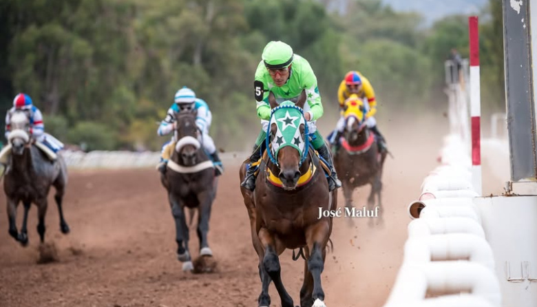 Se viene un buen Vendimia