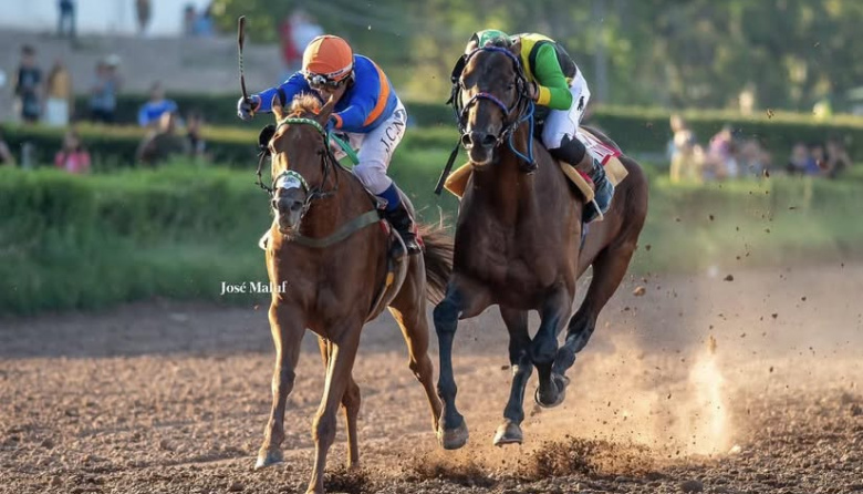 Endo Verde se llevó la Corona del Vendimia para San Juan