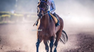 EL UNO X UNO de los anotados del Vendimia